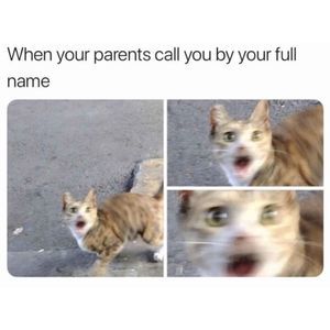 Meet your Posher, Tom